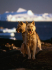 Gr�nland-14